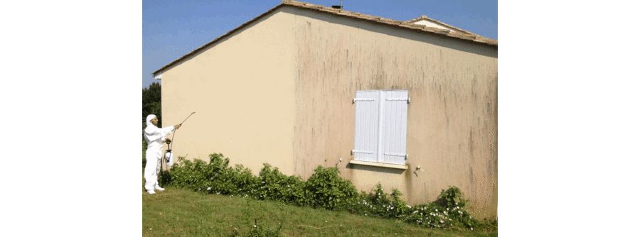 Nettoyage de façade et pignon — photo 3